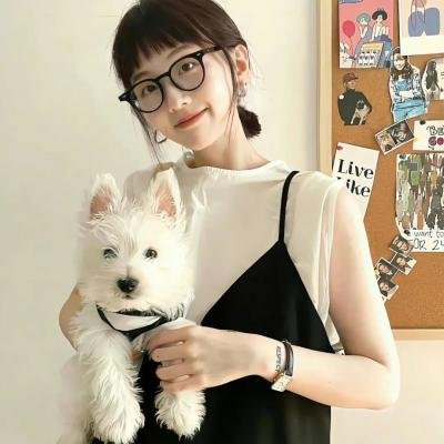 妙手小贼王