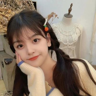 小犬与女孩
